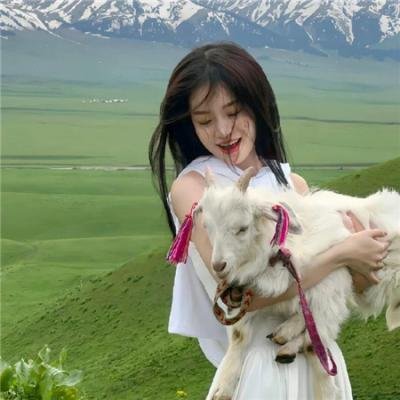 暴走狂花