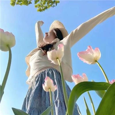 安妮·法兰克的最后七个月